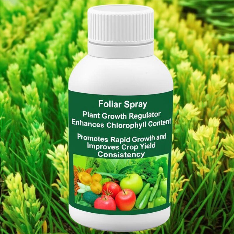 Foliar Spray Plant Growth Regulator Enhances Chlorophyll Content Promotes Rapid Growth and Improves Crop Yield Consistency